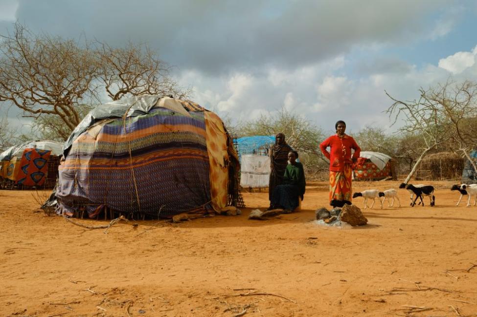 Bribes for Rights: The True Cost of Corruption in Kenya’s Drylands